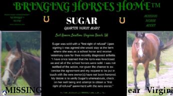 MISSING EQUINE Sugar,  Near Virginia Beach, VA,  23456